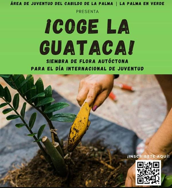 Organizan una plantación 🌱 de flora autóctona para celebrar el Día de la Juventud 👱‍♀️🧑 